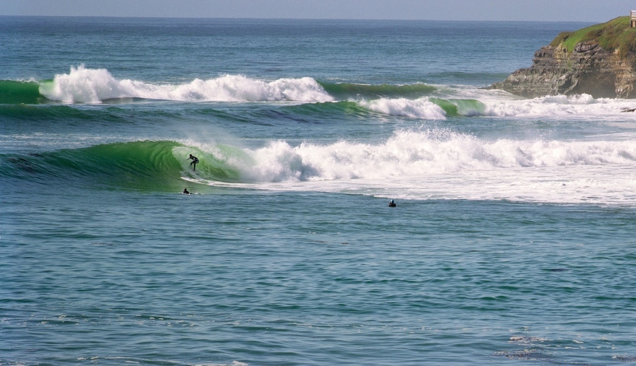 Surf Protected Area Networks