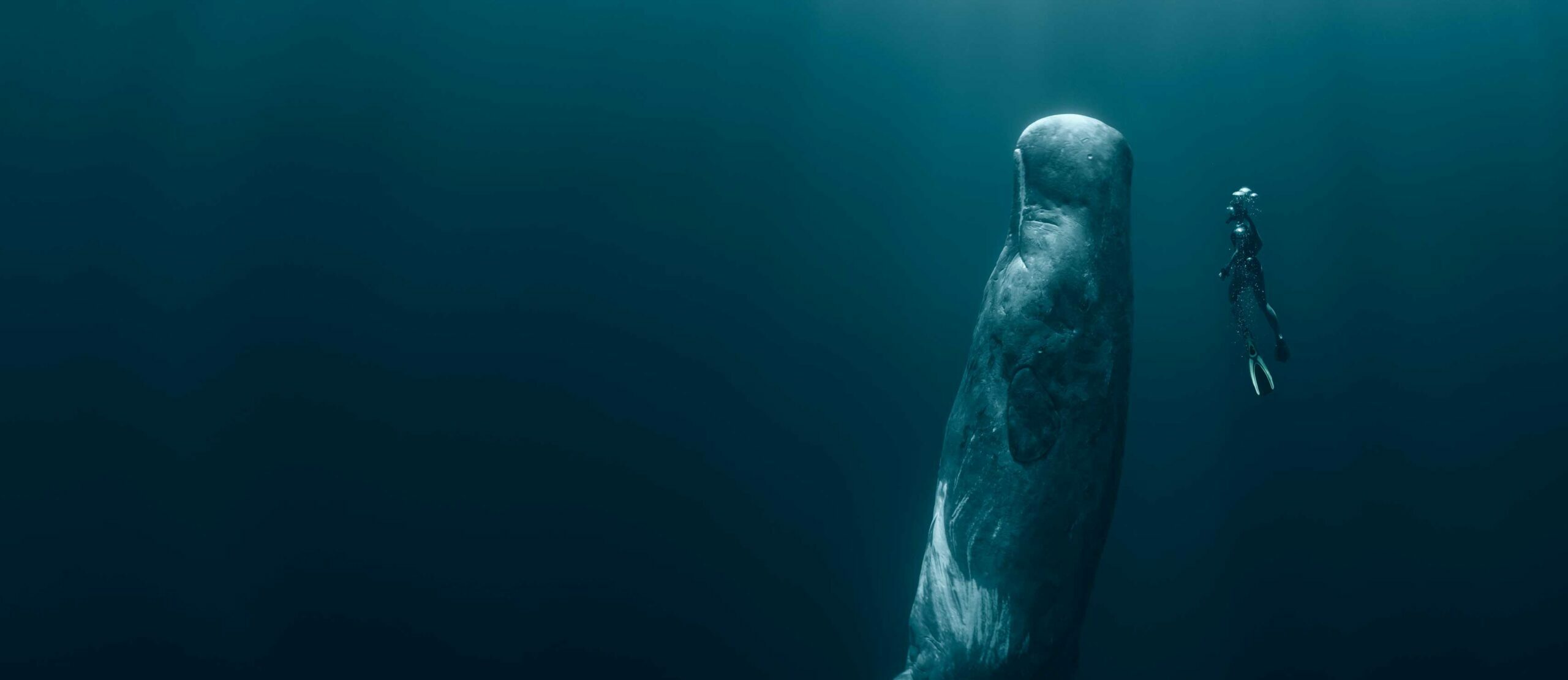 Defending the Ocean from Deep Sea Mining