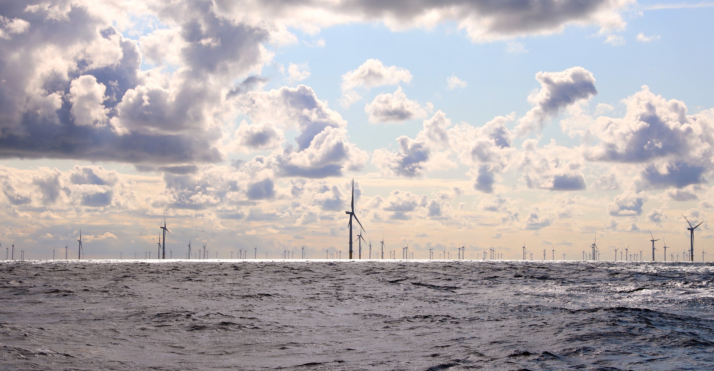 Cultivating Solutions