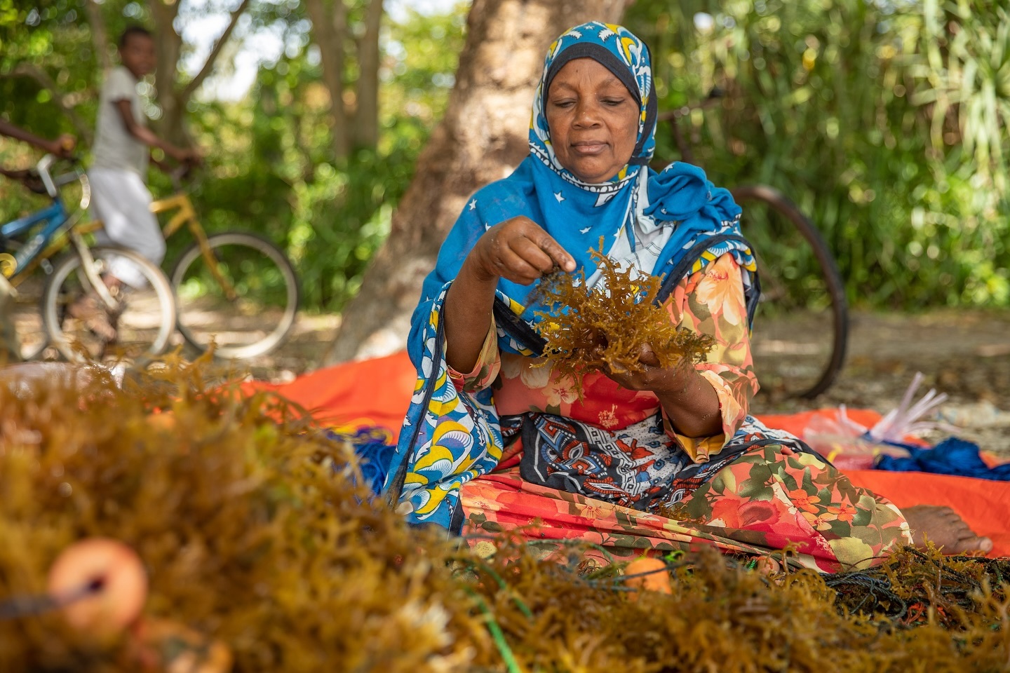 Transforming Seaweed Farming in East Africa