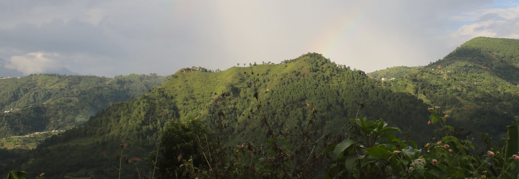 Catalysing Soil Health to Eliminate Marine Pollution