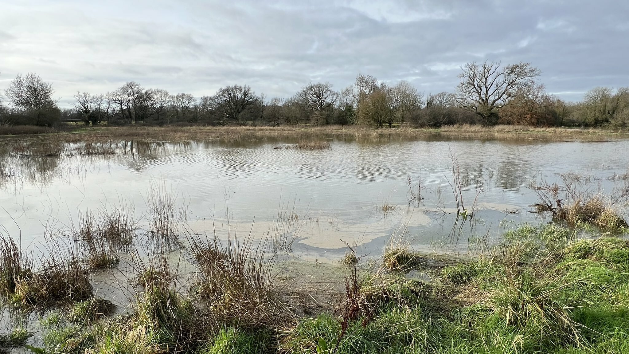 Fighting Against ‘Forever Chemicals’