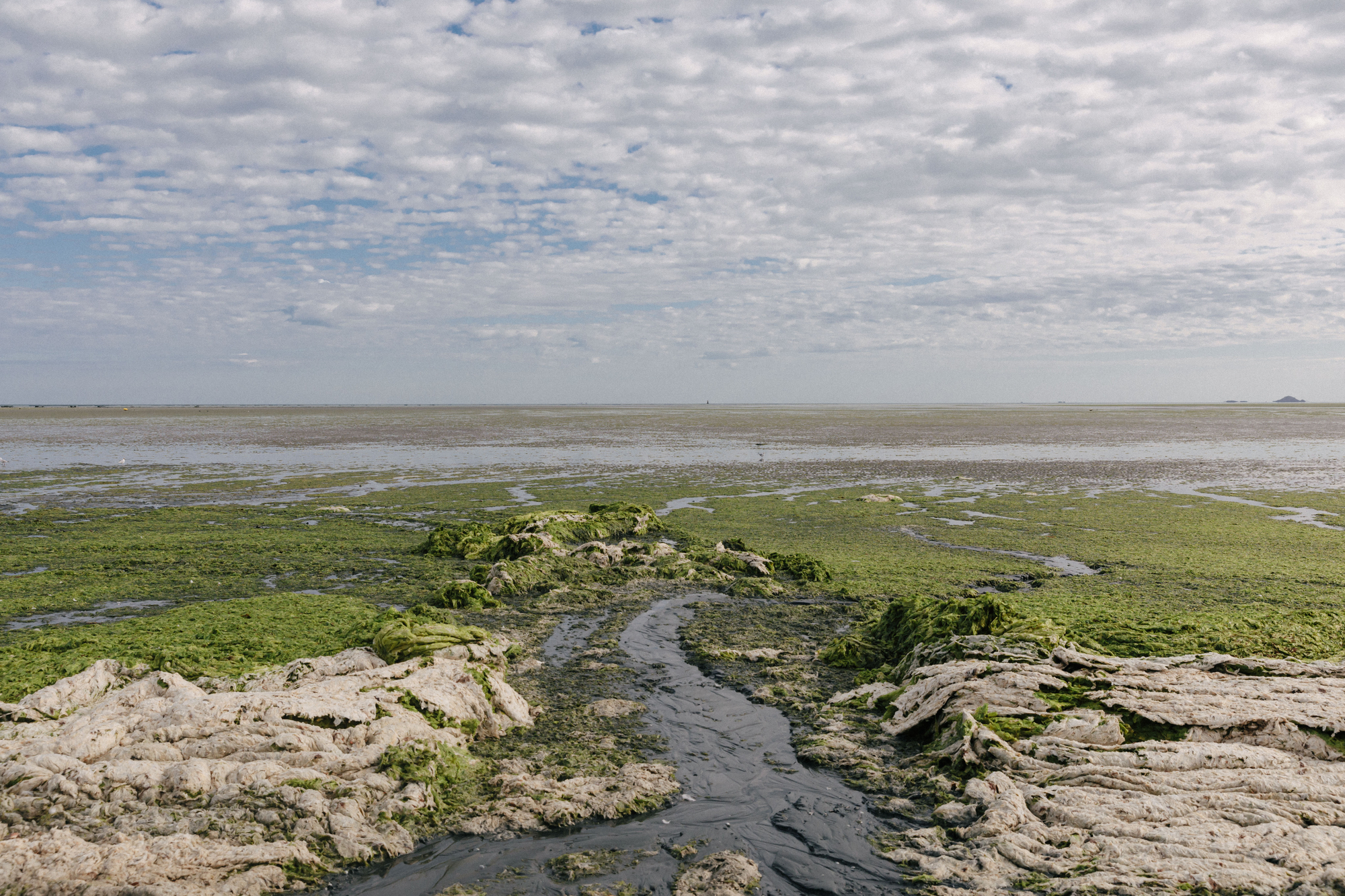 17farms environment1 2000