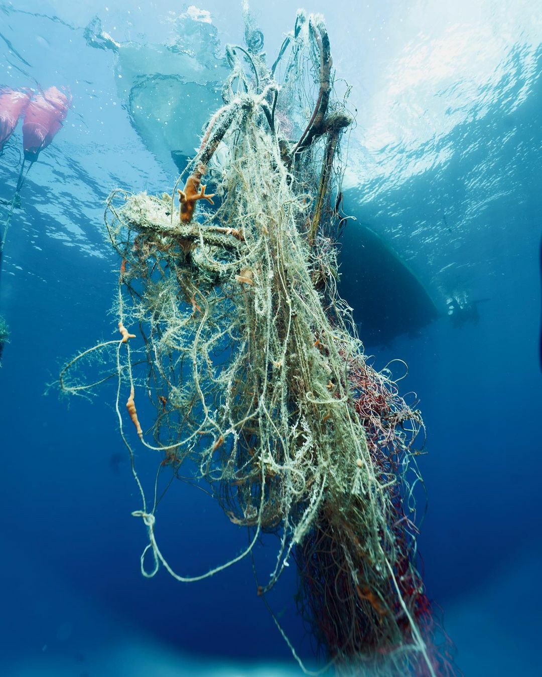 Tackling Marine Pollution from Fish Boxes