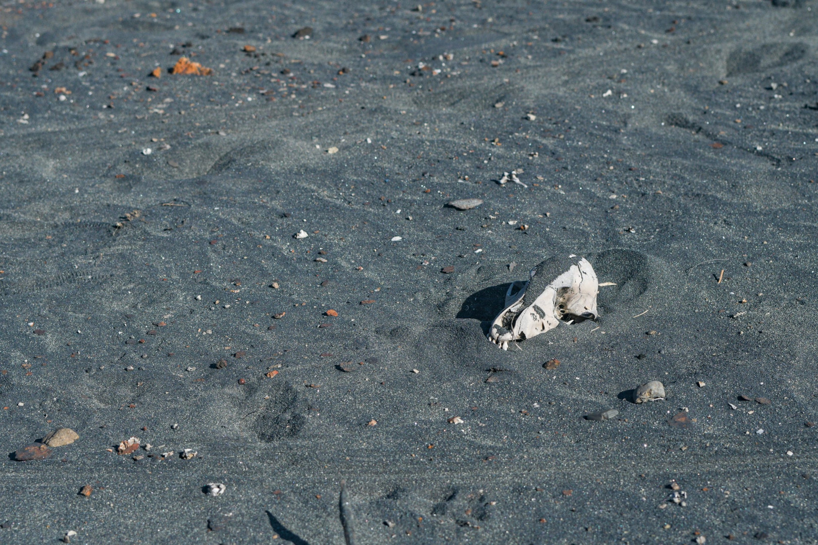 Exposing the Risks of Shallow-Water Seabed Mining