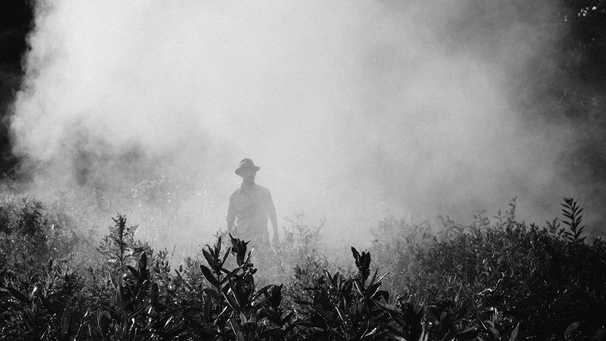 Securing ambitious global action to reduce pesticide harms