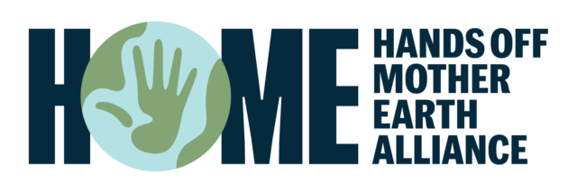 Preventing Marine Geoengineering Risks logo