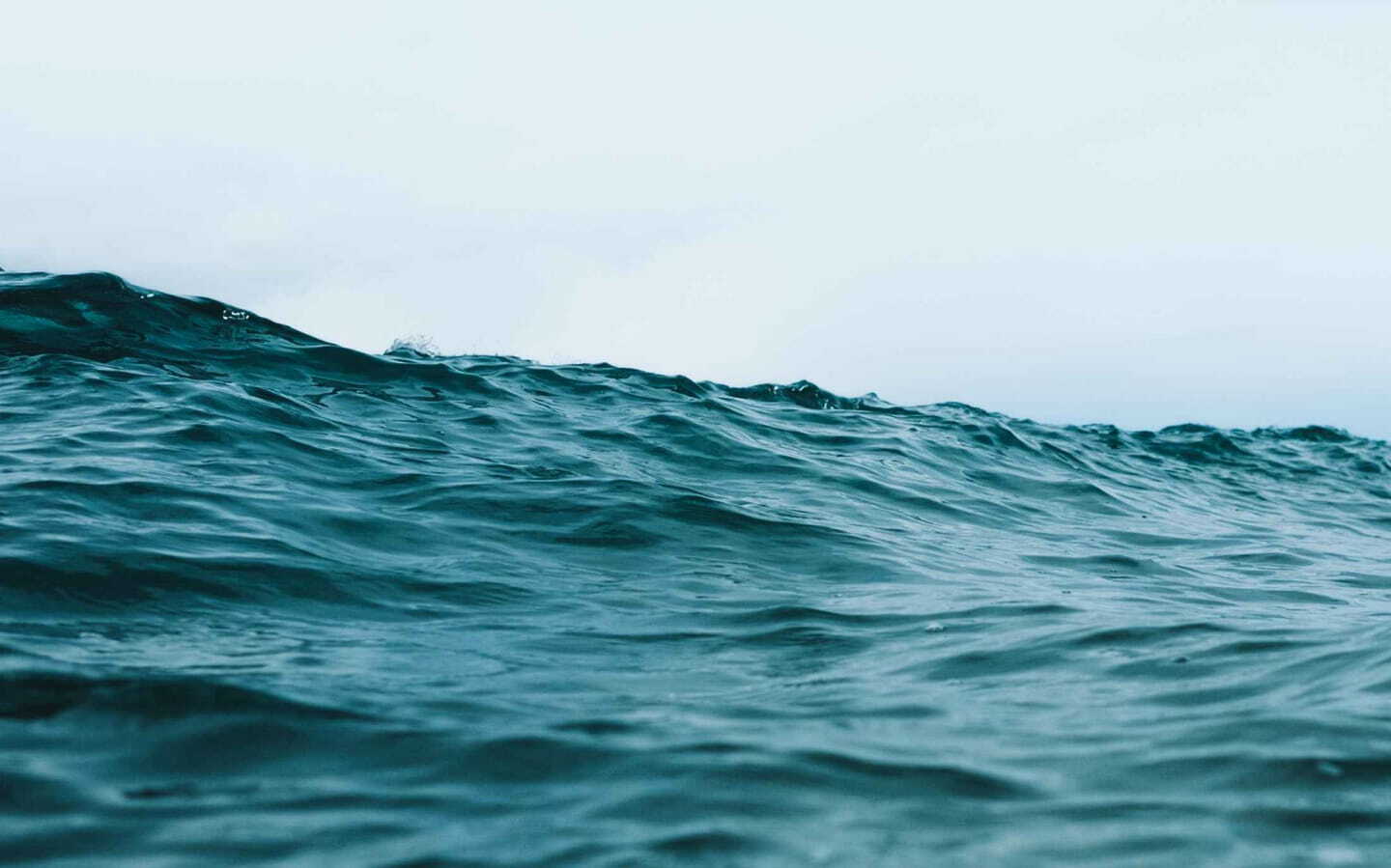 End Sewage Pollution