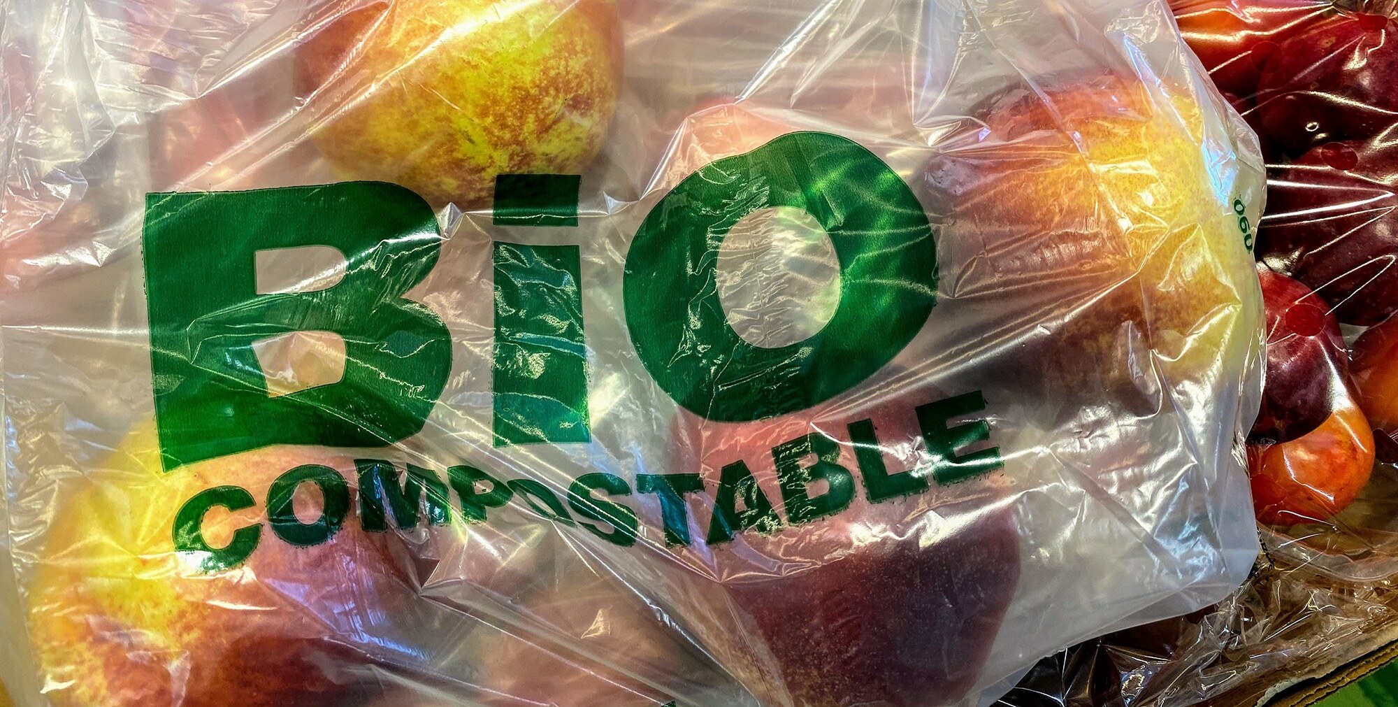 Bioplastics – Friend or Foe?